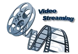 Fleet Live Video Streaming